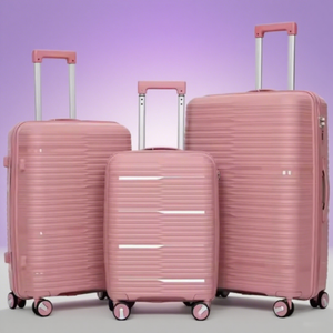 PP luggage sets